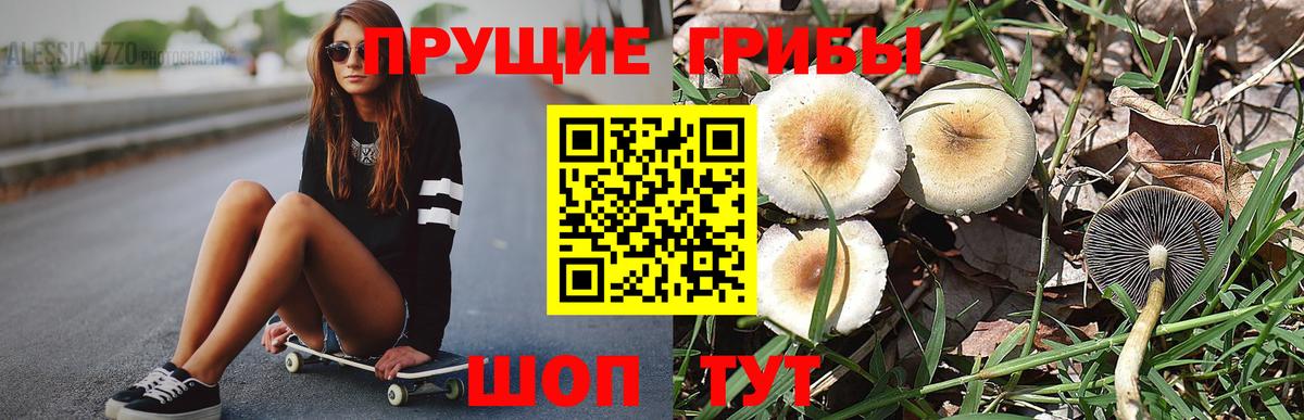 Псилоцибиновые грибы GOLDEN TEACHER  Вход с VPN  Галлюциногенные грибы ЛСД  Лесозаводск 
